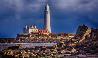 开云体育下载-布宜诺斯艾利斯独立重点培养年轻球员，展望未来世俱杯