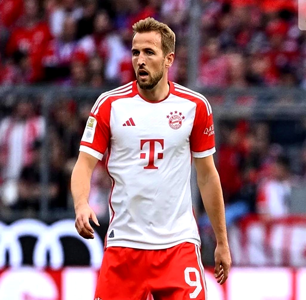 关于奥格斯堡客场战平，艰难保持不败的信息